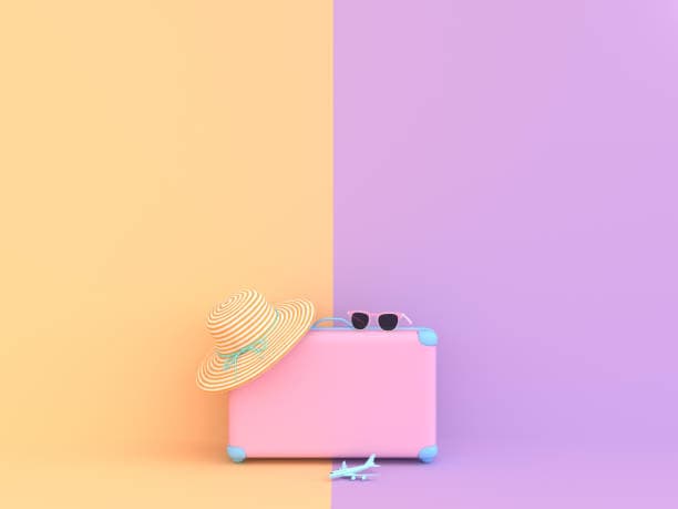 Plastic Styles Suitcase